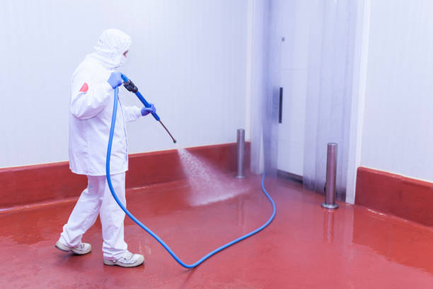 Best Patio and Deck Pressure Washing  in Hide A Way Lake, MS